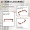 image:imageProbrico 10 Pack Modern Euro Style Cabinet Pulls Rose Gold Kitchen Cabinet Hardware 334 Inch96mm Hole Center Drawer Handles Plastic Dresser Pulls