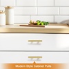 image:imageProbrico 12 Pack Modern Cabinet Hardware Black Bathroom Cupboard Pull Kitchen Cabinet T Bar Handle Dresser Knobs Set  334 inch CenterGold