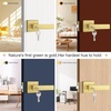 image:imageProbrico 2 Pack Different Keys Door Levers Gold Keyed Differently Square Handles with Lock for Interior Exterior DoorsBrushed Gold