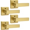 image:imageProbrico 2 Pack Different Keys Door Levers Gold Keyed Differently Square Handles with Lock for Interior Exterior DoorsBrushed Gold