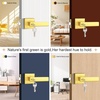 image:imageProbrico 2 Pack Different Keys Door Levers Gold Keyed Differently Square Handles with Lock for Interior Exterior DoorsBrushed Gold