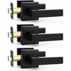 image:imageProbrico 2 Pack Different Keys Door Levers Gold Keyed Differently Square Handles with Lock for Interior Exterior DoorsMatte Black