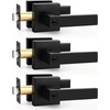image:imageProbrico 2 Pack Different Keys Door Levers Gold Keyed Differently Square Handles with Lock for Interior Exterior DoorsMatte Black