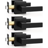 image:imageProbrico 2 Pack Different Keys Door Levers Gold Keyed Differently Square Handles with Lock for Interior Exterior DoorsMatte Black