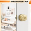 image:imageProbrico Interior Hallway Door Knobs for Hall or Closet Flat Ball Black Passage Door KnobsGold