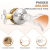 image:imageProbrico Wave Shape Passage Door Lever Satin Nickel Keyless Handle for Hall and Closet Interior NonLocking Leverset Handleset Hardware Reversible for Right and Left Handed Doors 1 PackSatin Nickel