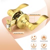 image:imageProbrico Wave Shape Passage Door Lever Satin Nickel Keyless Handle for Hall and Closet Interior NonLocking Leverset Handleset Hardware Reversible for Right and Left Handed Doors 1 PackGold