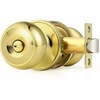 Polished Brass